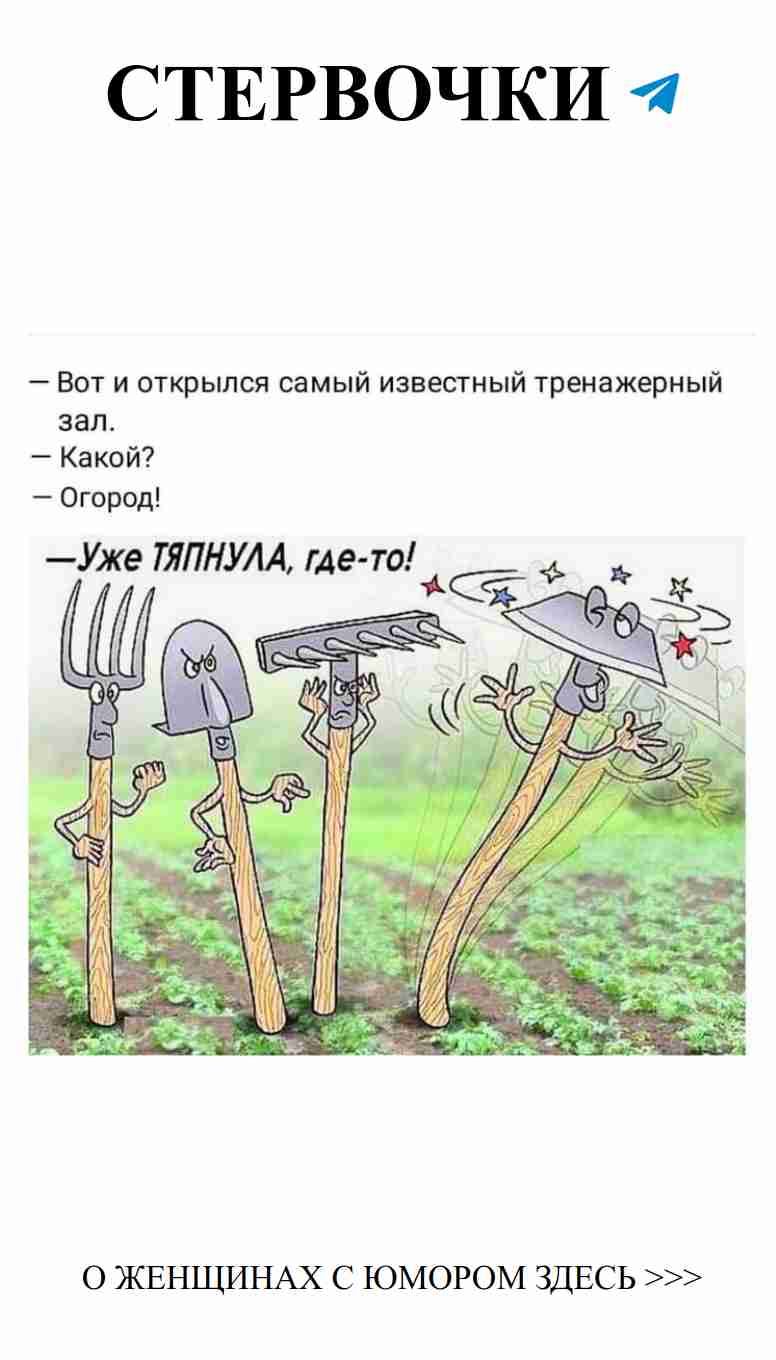 Любовь с юмором: Серьёзные переправы в смешных историях