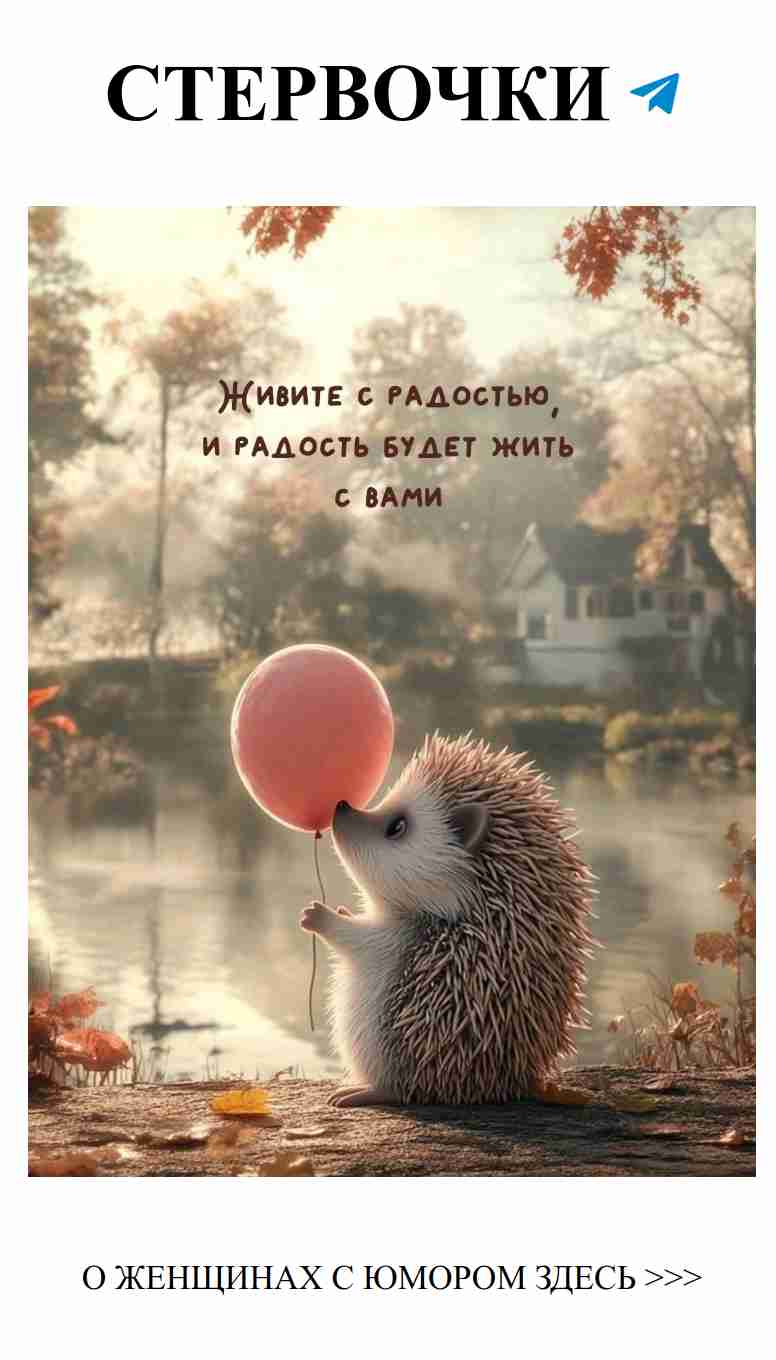 Искренние смешные истории о любви и сарказме