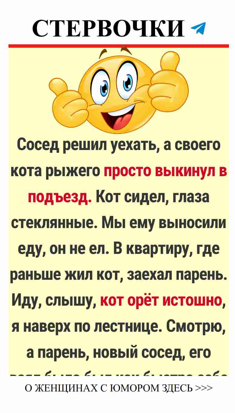 Смешные истории о любви, которые вернут вам веру в людей