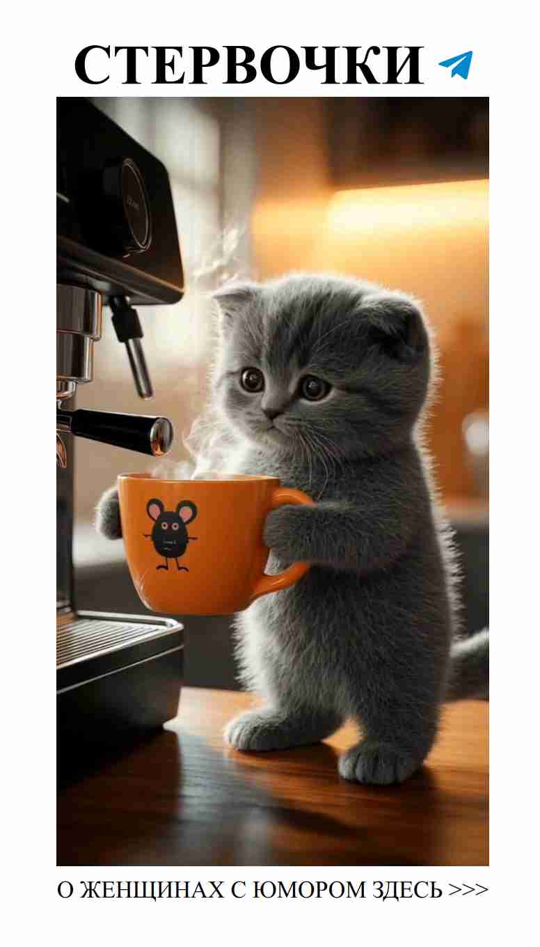 Утро, полное любви и смеха для женщин