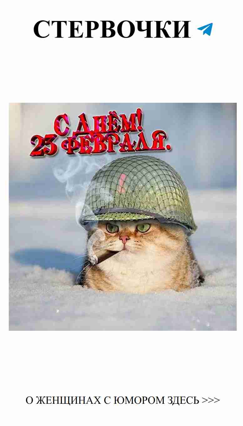 Смешные пожелания мужчинам на 23 февраля от женщин