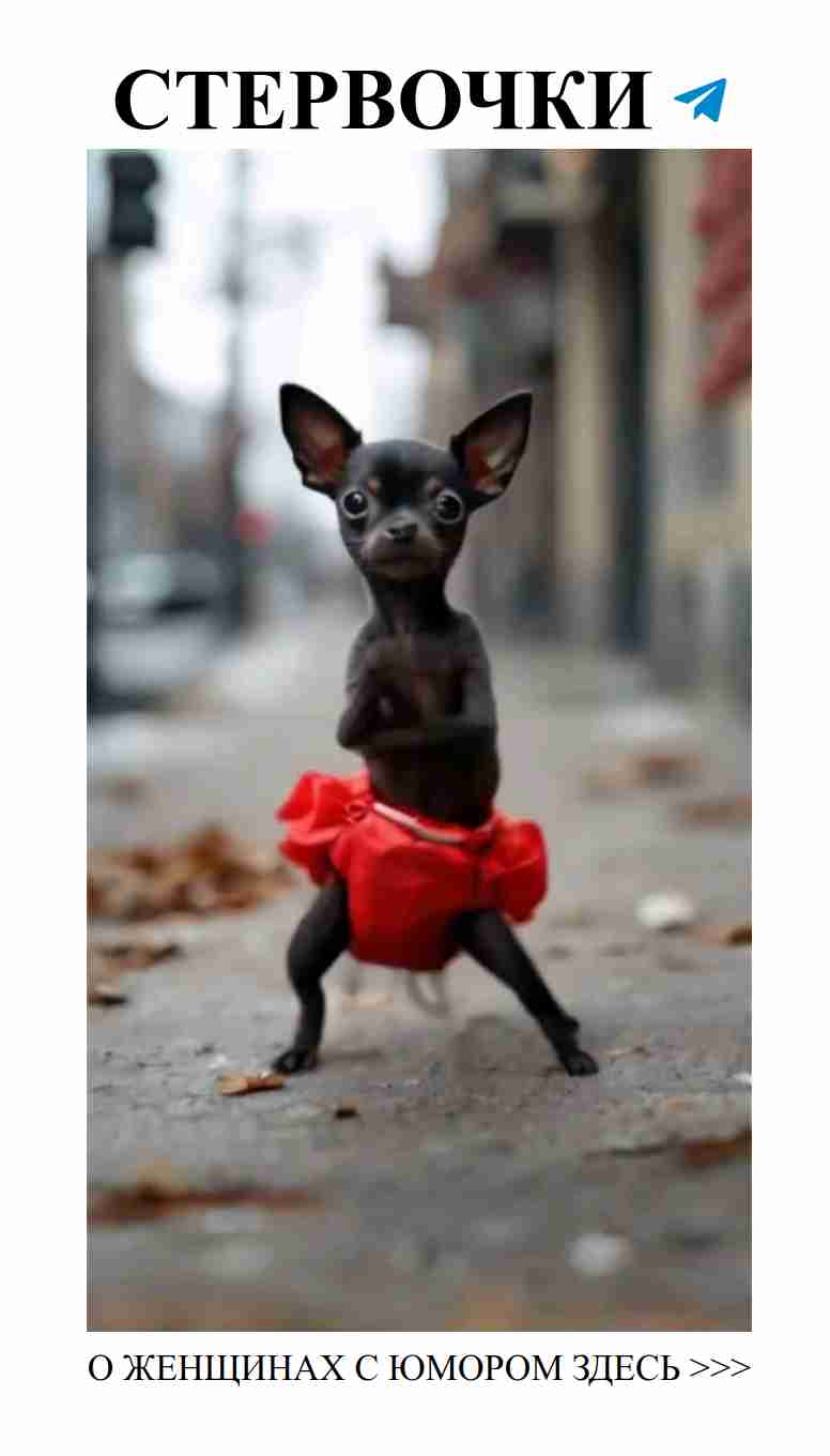 Как я влипла в любовь через TikTok, и что из этого вышло