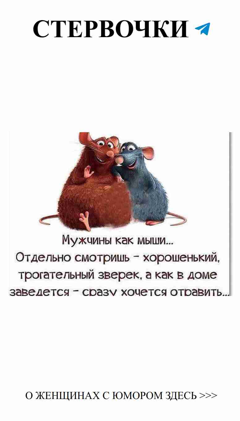 Любовь с улыбкой: веселые картинки для хорошего настроения