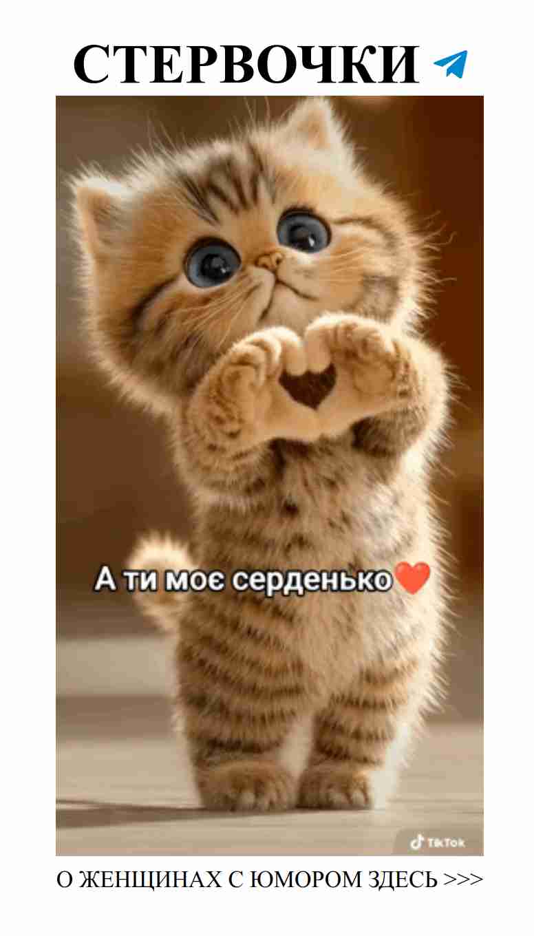 Смех и любовь: в поисках идеального партнёра