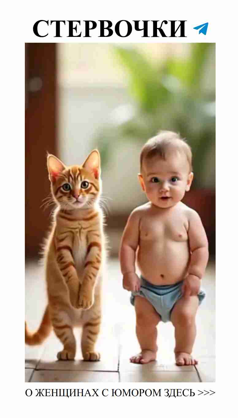 Смешные милые видео о любви и отношениях