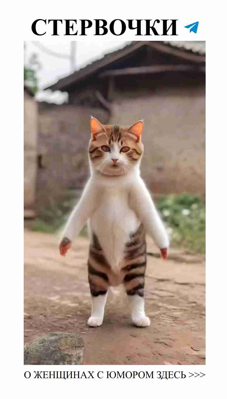 Любовь с юмором: как смеяться вместе и быть счастливыми