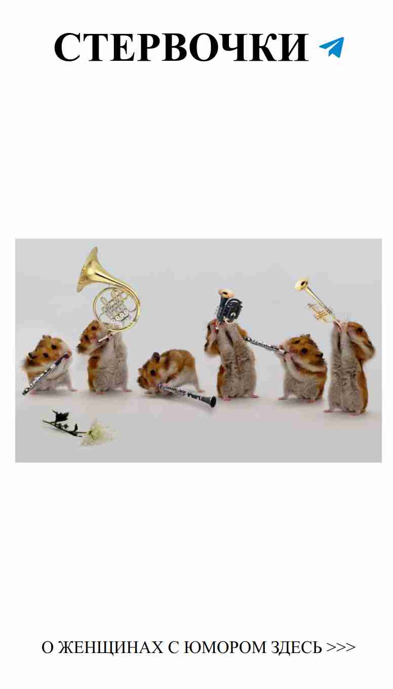 Юмор и любовь: забавные поздравления для мужчин