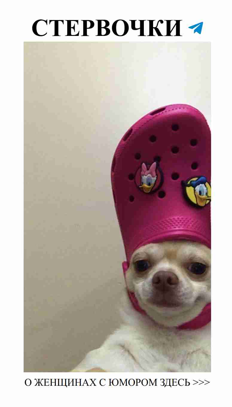 Любовь смеётся громче всех: юмор для женщин