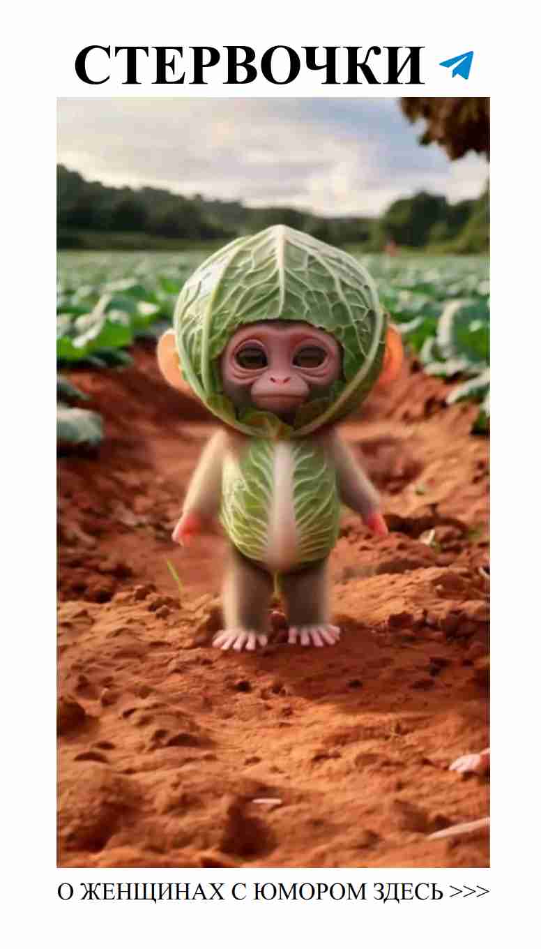 Любовь и смех: как веселиться и не обращать на всё внимания