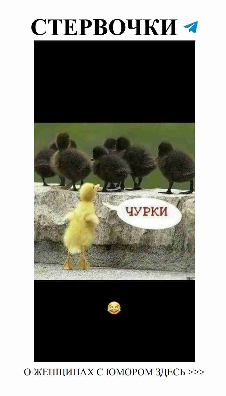 Смешные моменты любви, которые заставят вас улыбнуться