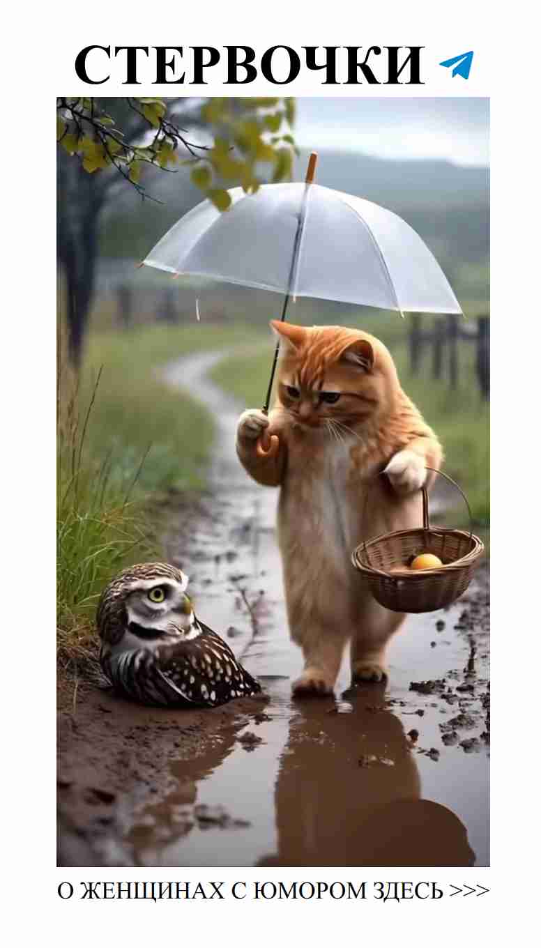 Когда любовь лечит, даже раны становятся смешными