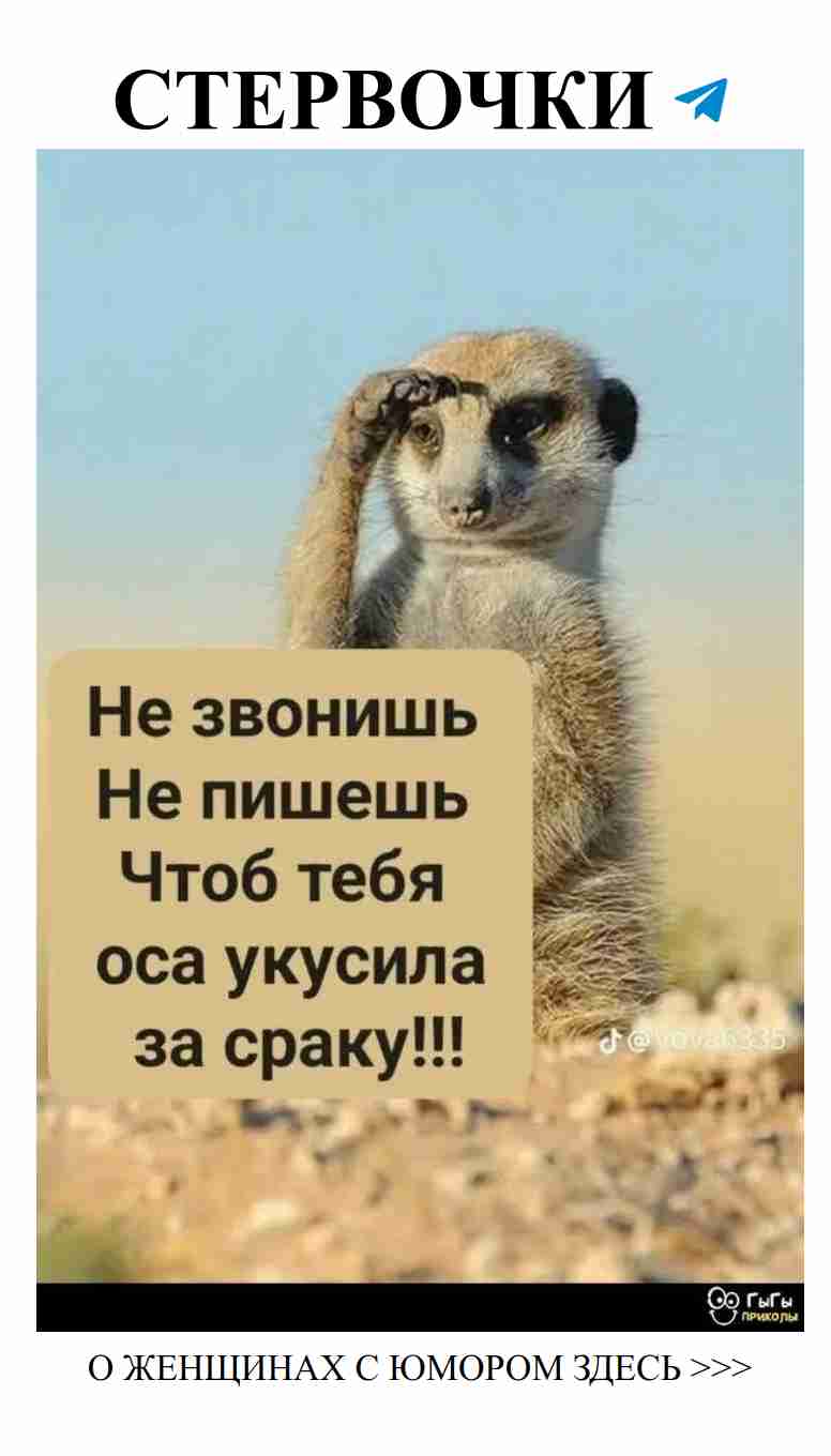 Смешные истории о любви: смех — лучший антидепрессант