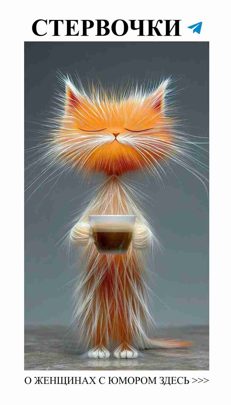 Смешные котики и чашка кофе для уютных вечеров