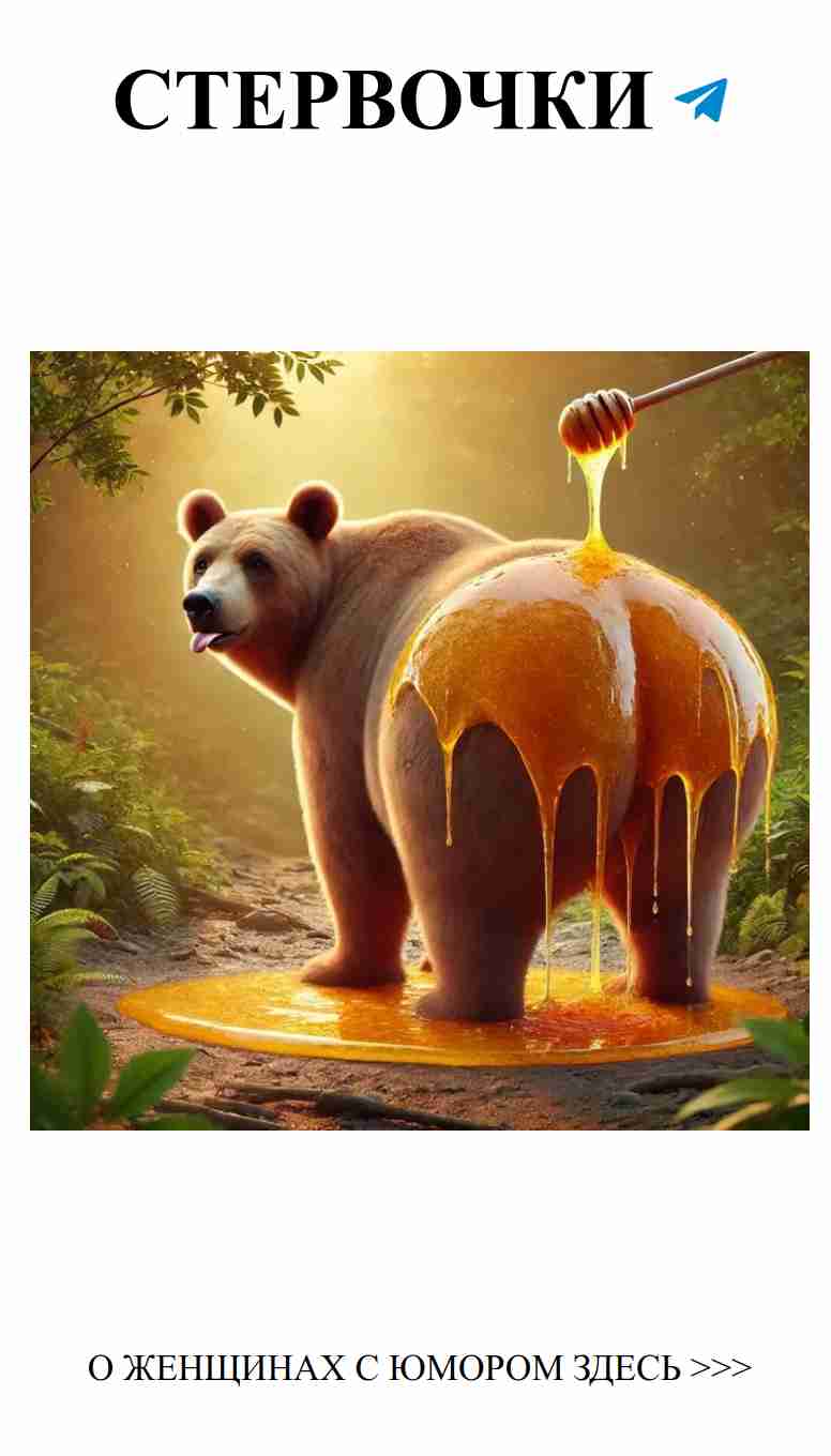 Медведь в мёде: когда любовь липкая и сладкая