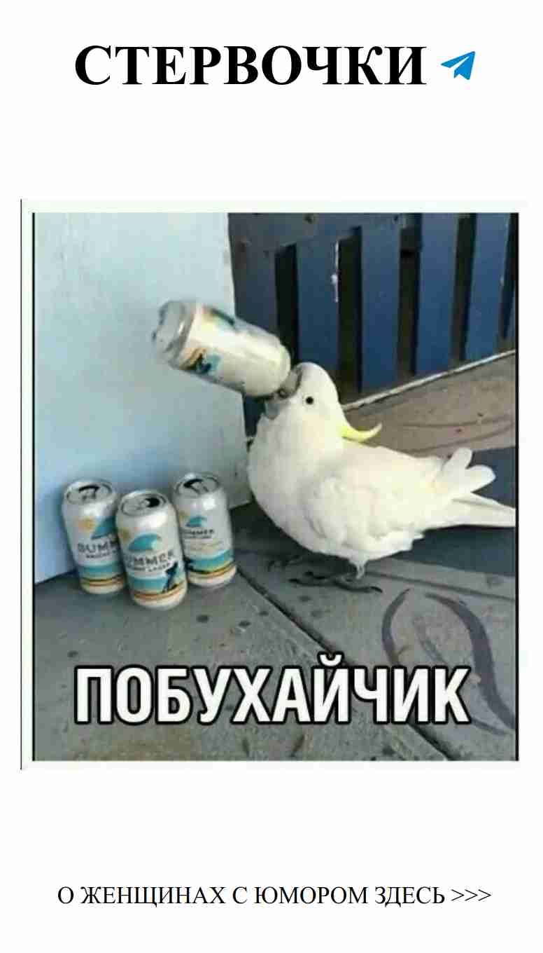 Как мой папа реагирует на появление пива