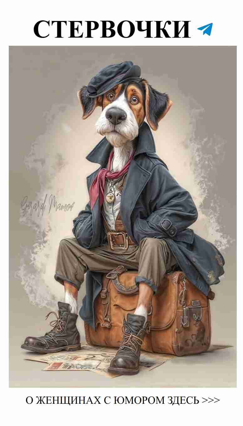 Смех и любовь: забавные моменты для женского сердца