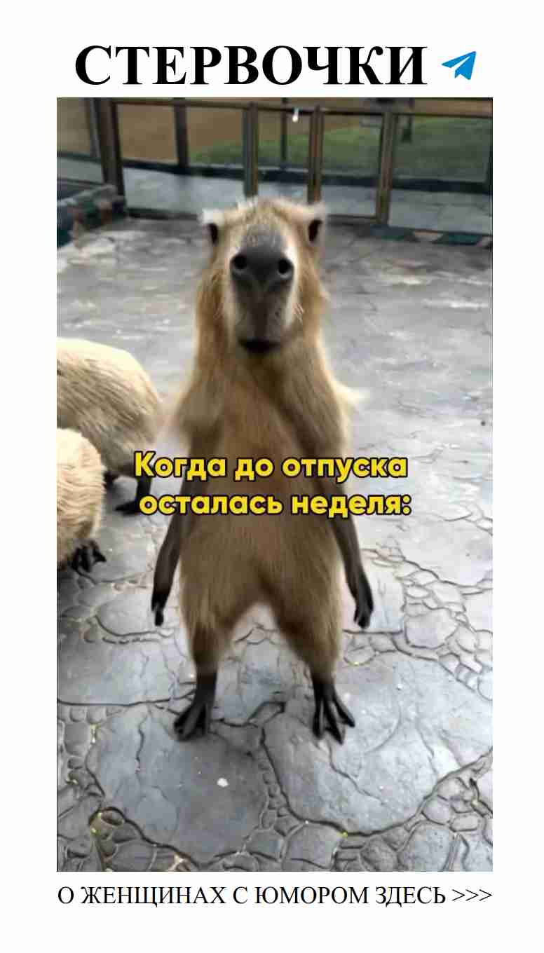 Любовь на грани: смешные моменты, которые мы пережили