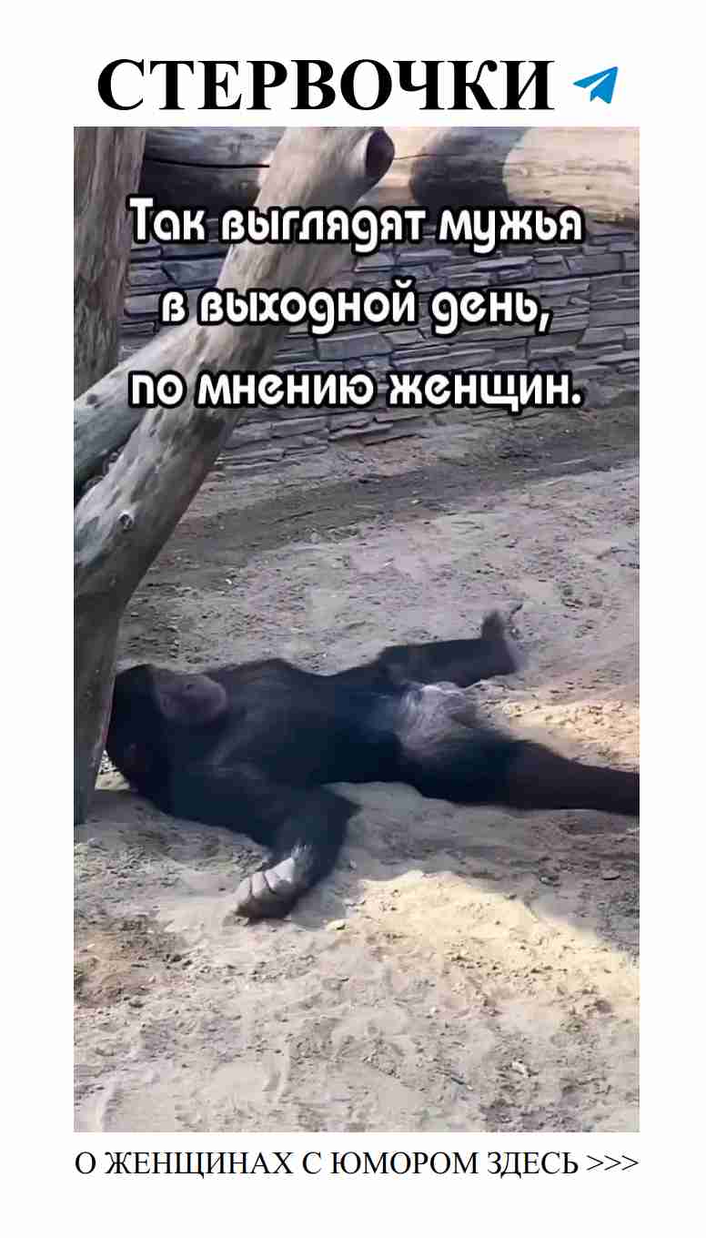 Когда муж не мешает наслаждаться выходным днем