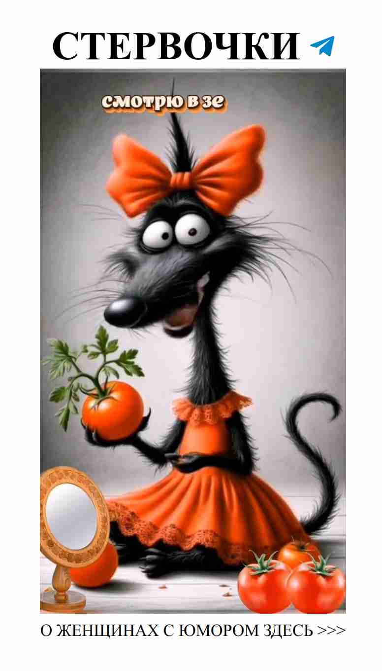 Смешные истории о любви для женщин на каждый день