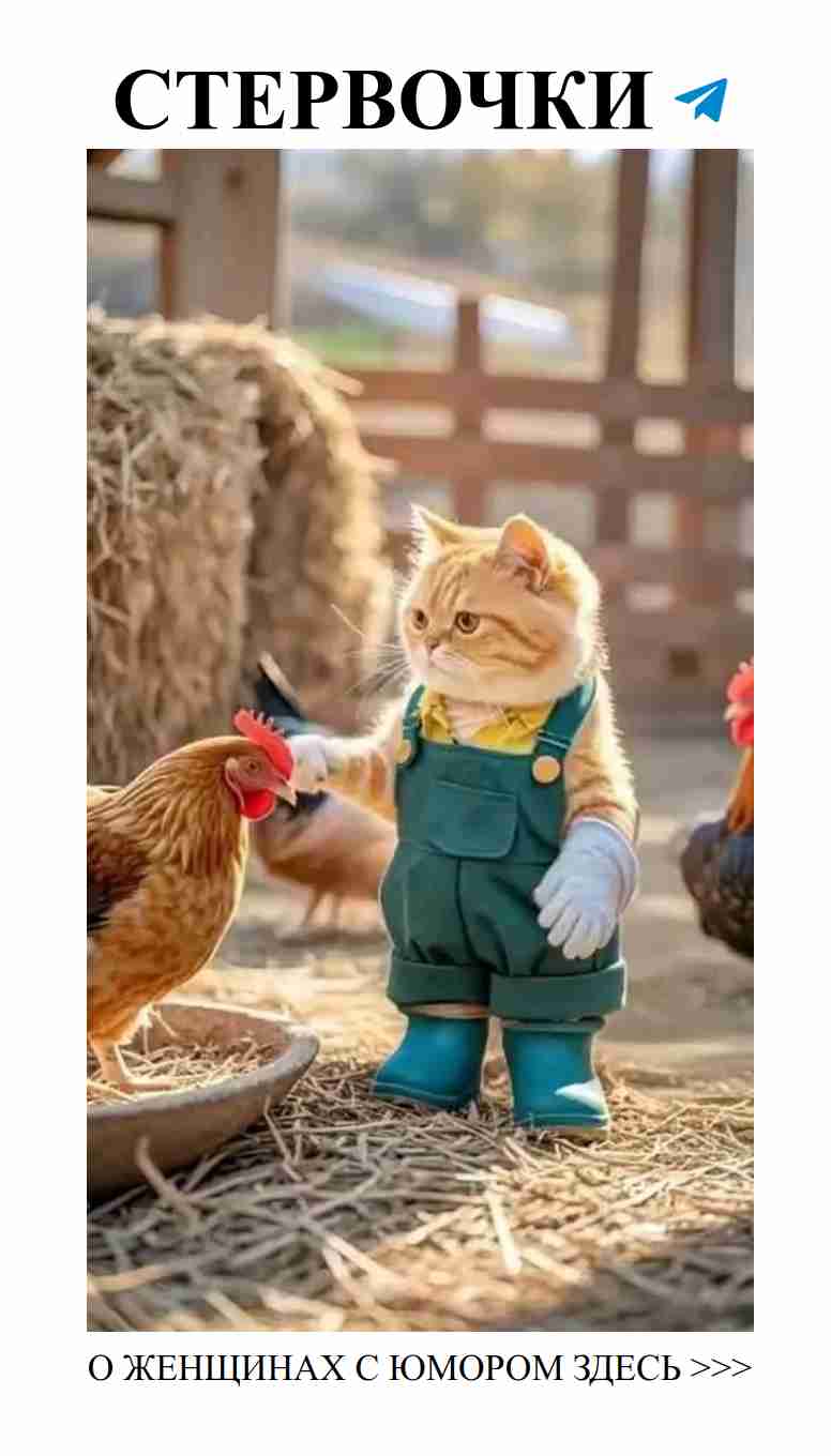 Смешные истории о любви, которые заставят вас улыбнуться