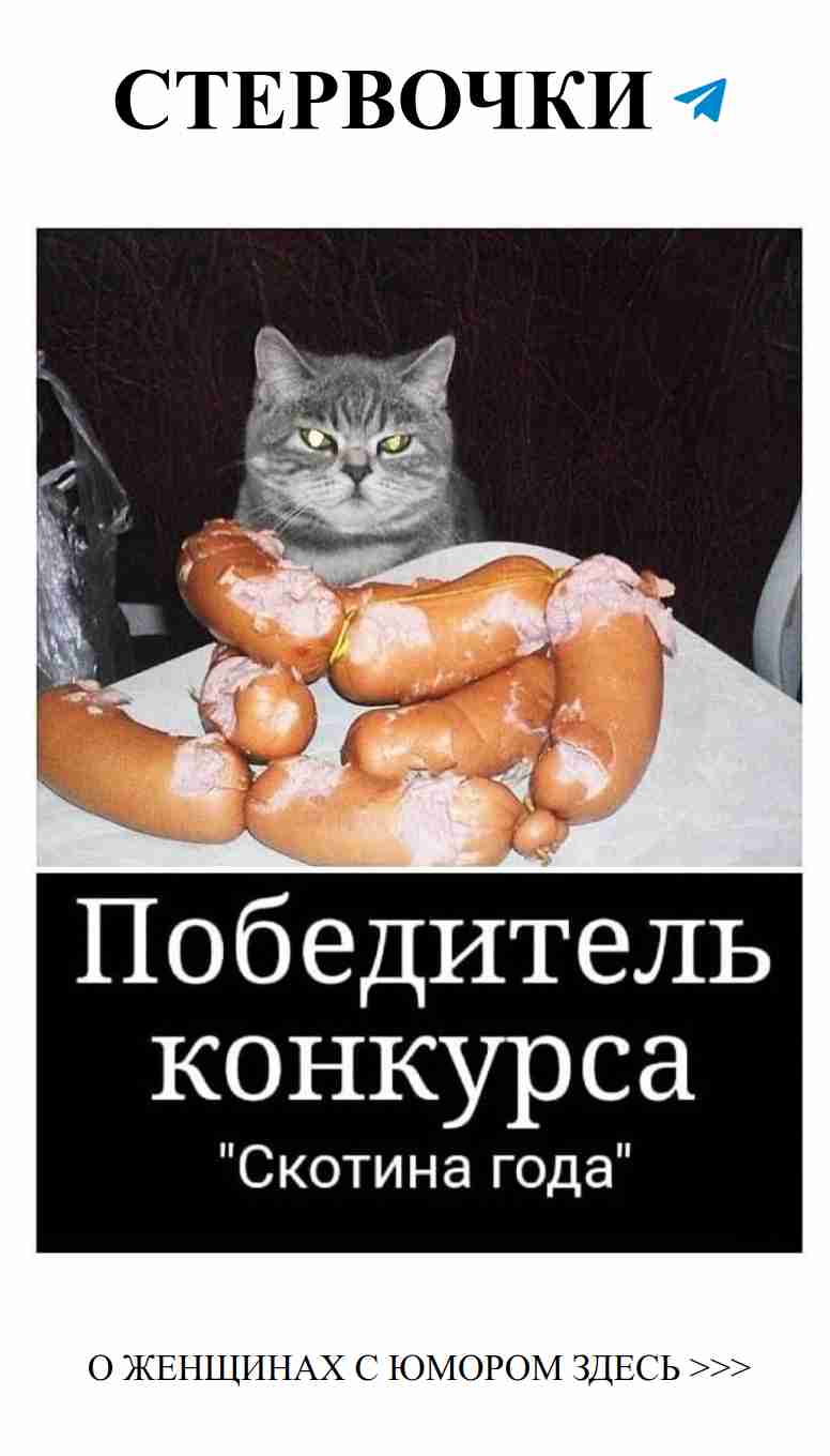 Любовь и смех: Делимся забавными моментами!