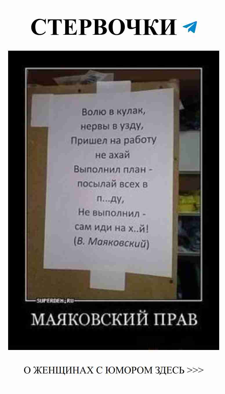 Любовь с юмором: Неожиданные моменты и искренние улыбки