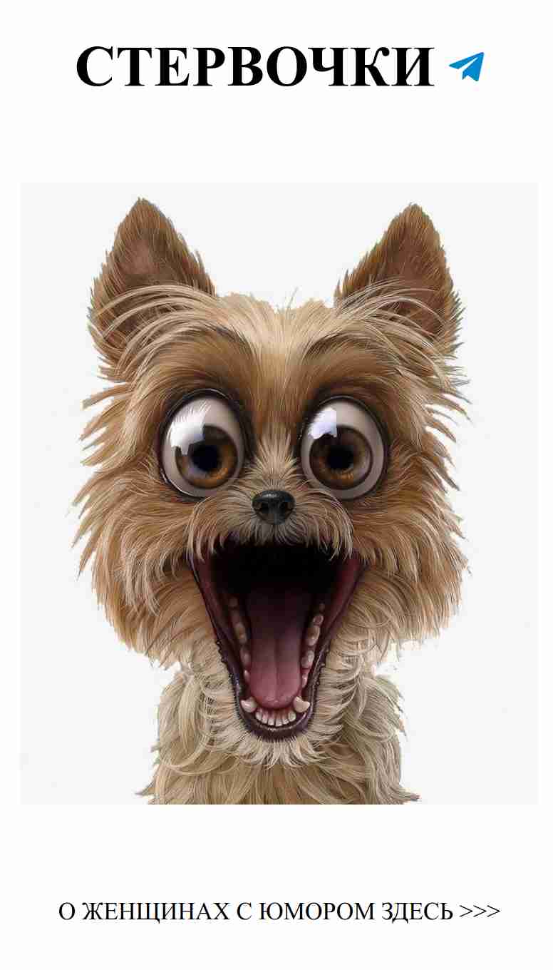 Смех и любовь: как не попасть в любовную ловушку