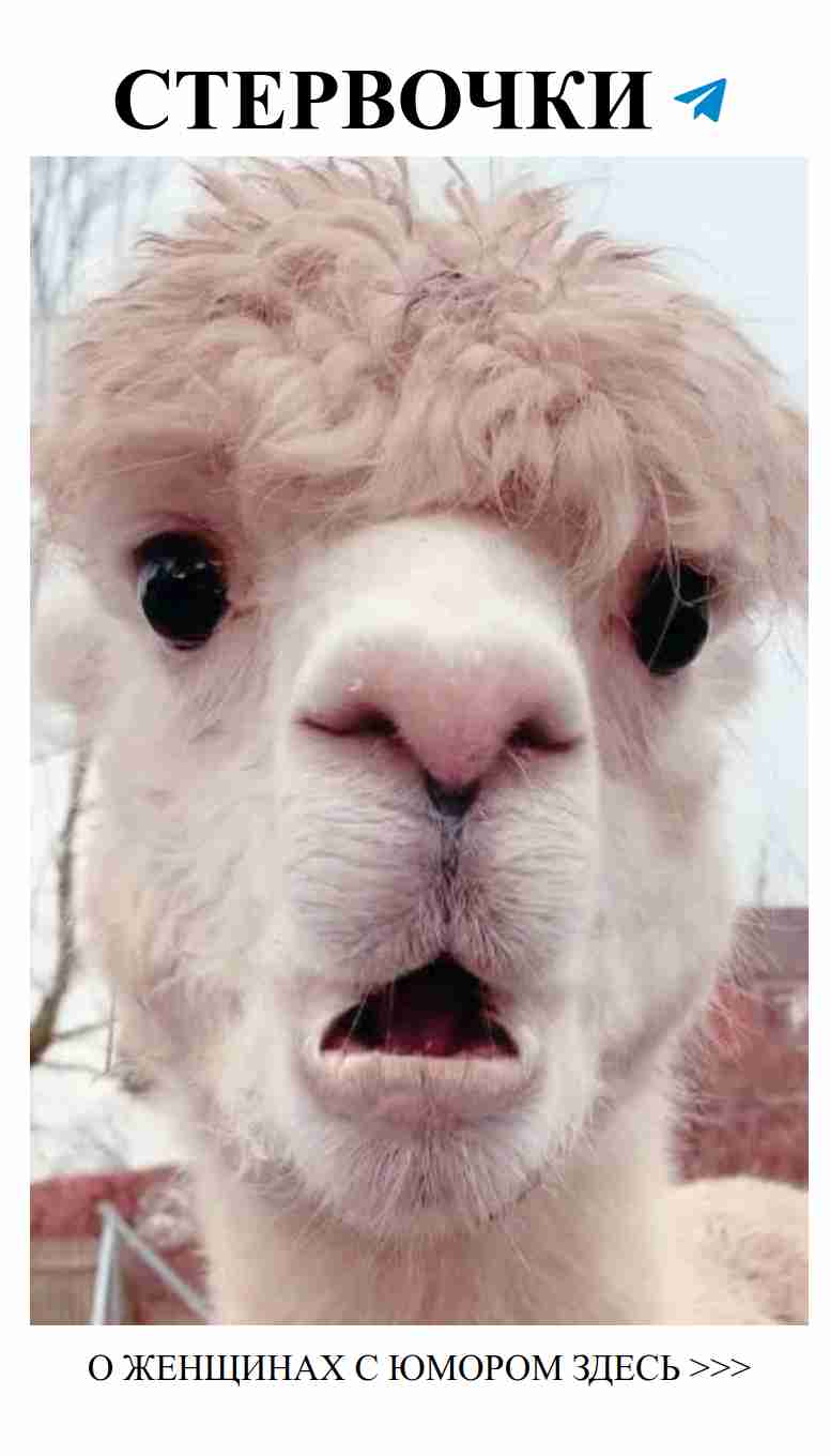 Юмор о любви: как не потерять голову и не упасть в обморок