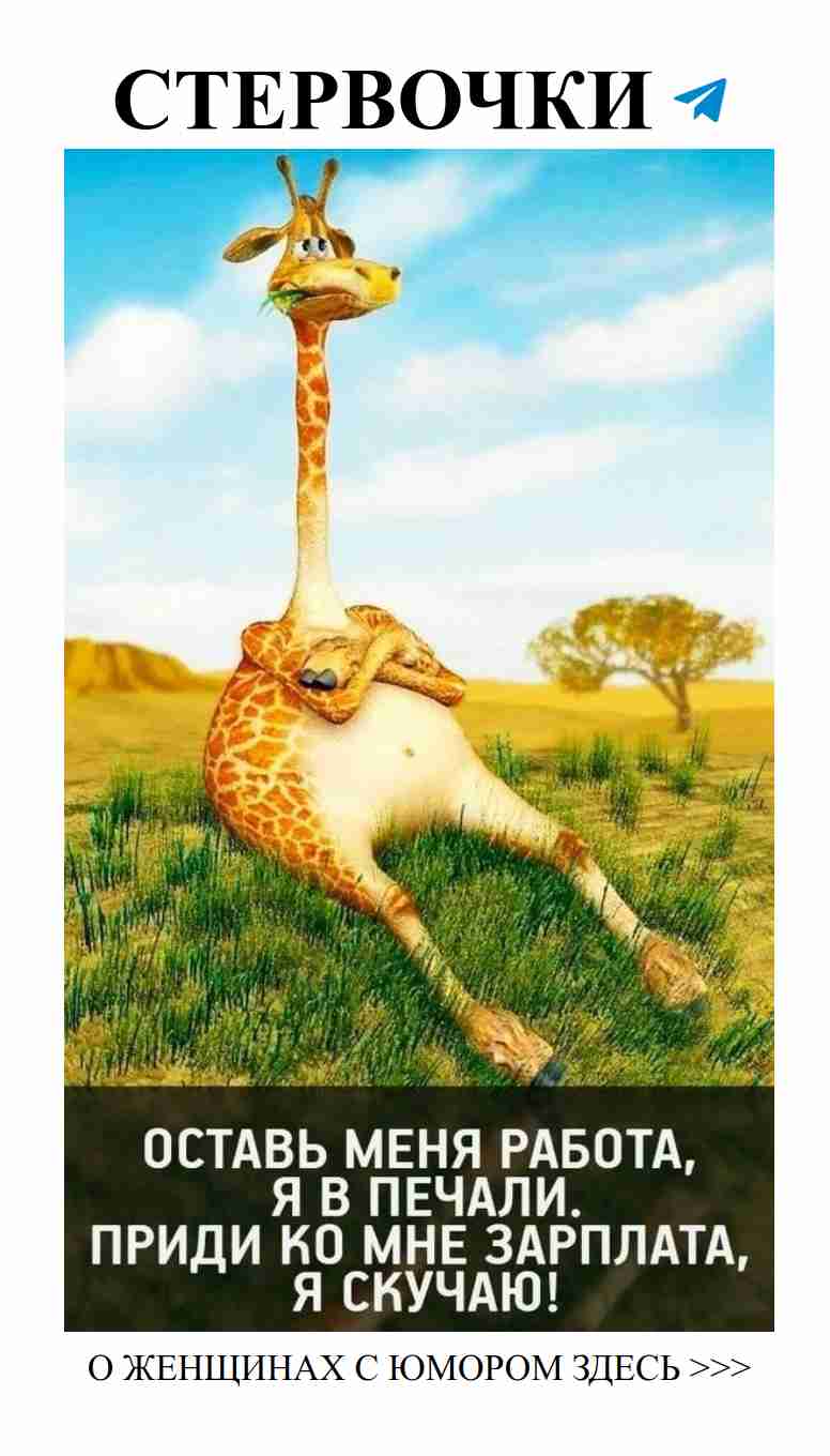 Когда зарплата как любовь, приходит, но не частенько