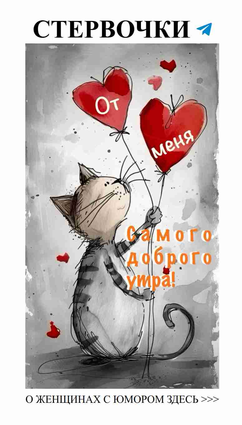 Утро с шариками и котиком: настройся на позитив!