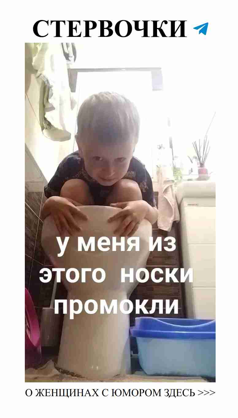 Скибиди туалеты для любви и смеха без ограничений