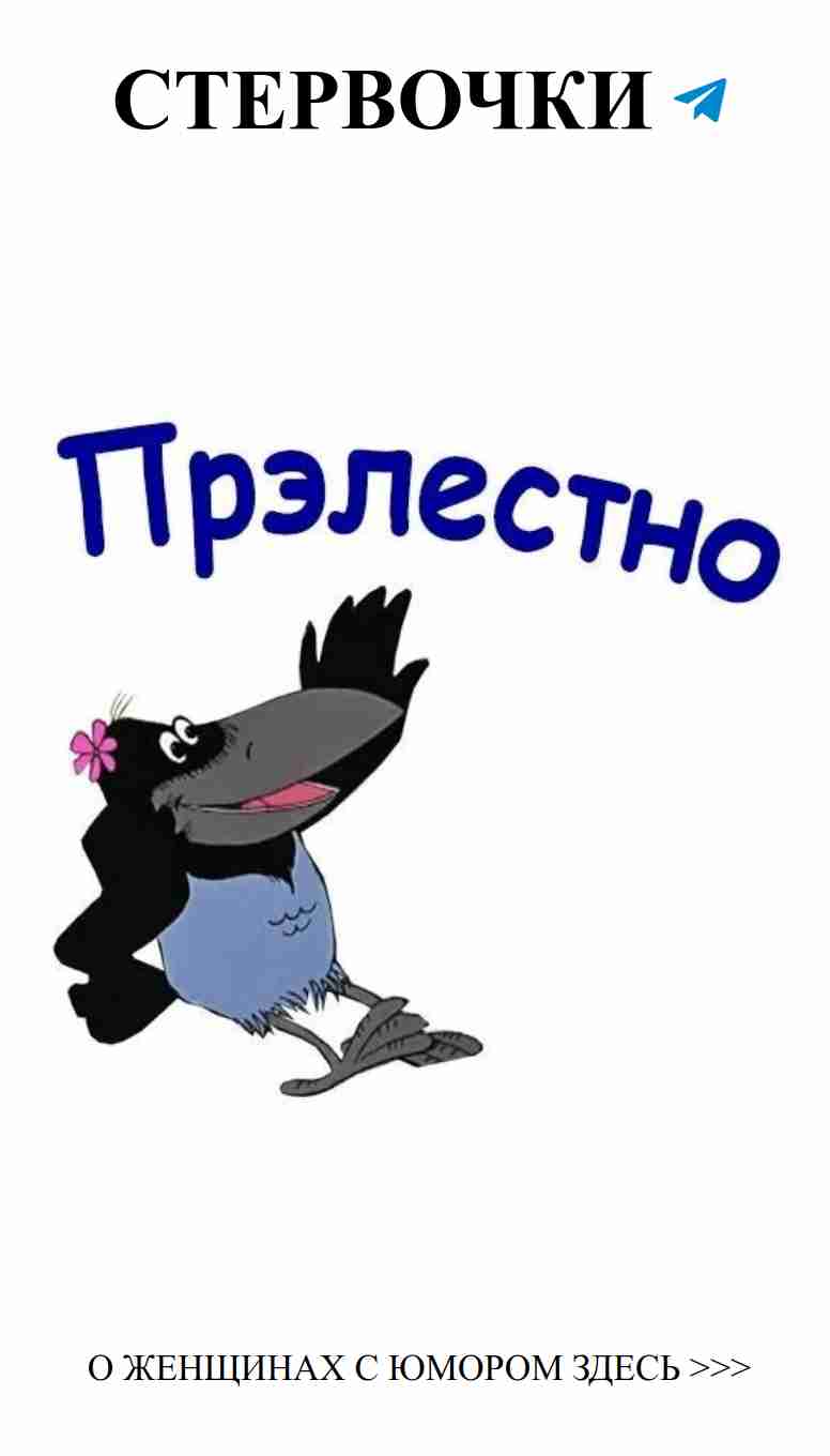 Смеемся над любовью: женский юмор на каждый день