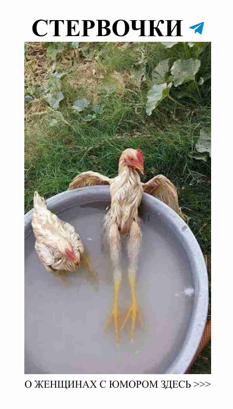 Как замариновать курицу с любовью и юмором