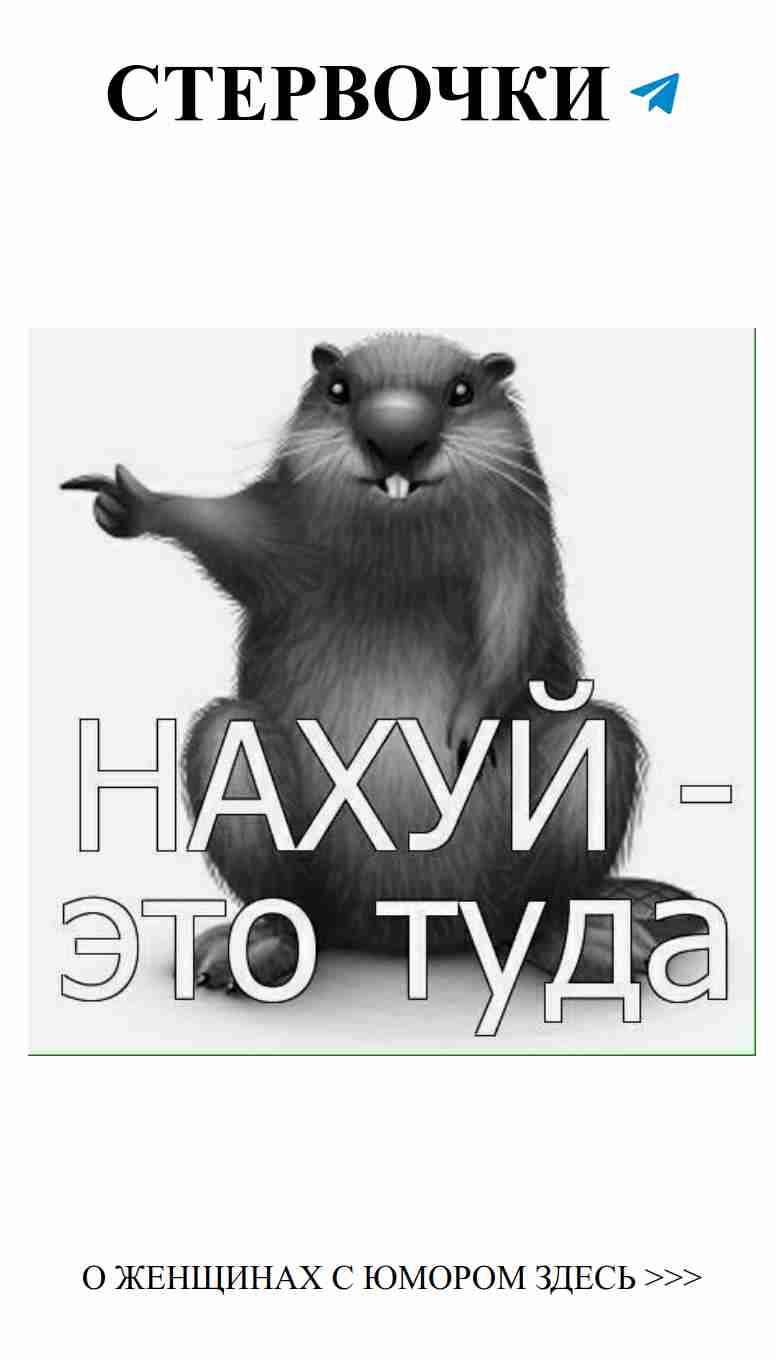 Любовь и бобры: смешные моменты из жизни