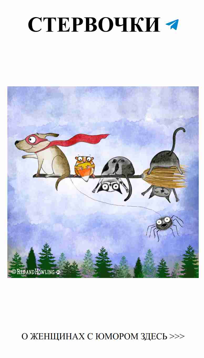 Любовь глазами женщин: смешные жизненные моменты