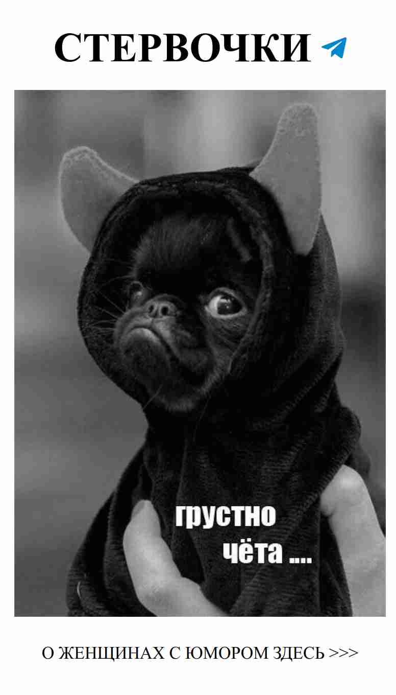 Любовь — это не всегда серьёзно. Улыбнись вместе с нами!