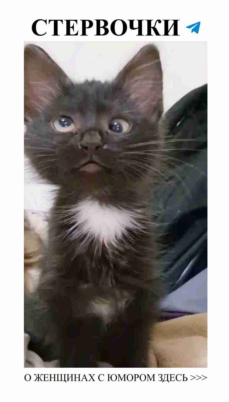 Юмор о любви: как девочки шутят о своих переживаниях