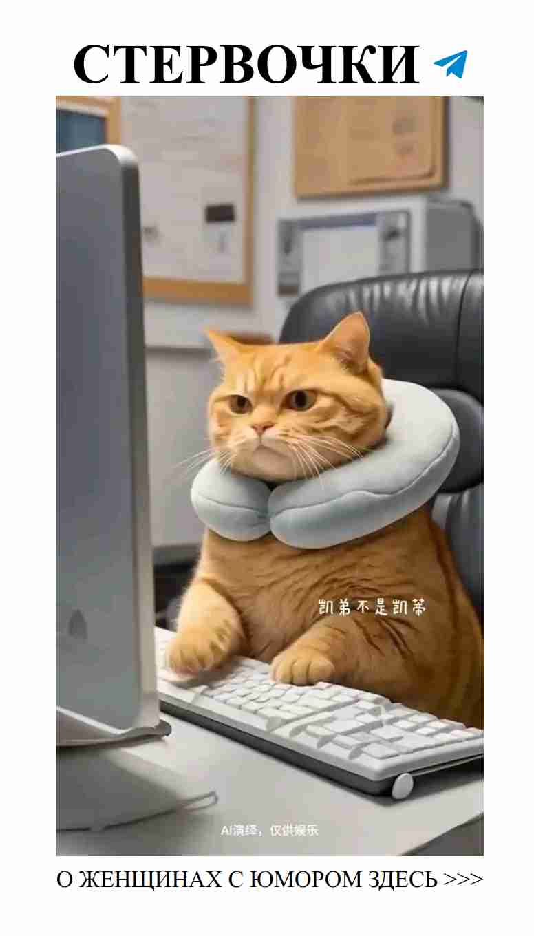 Начало недели и финиш в любви: смех и эмоции!