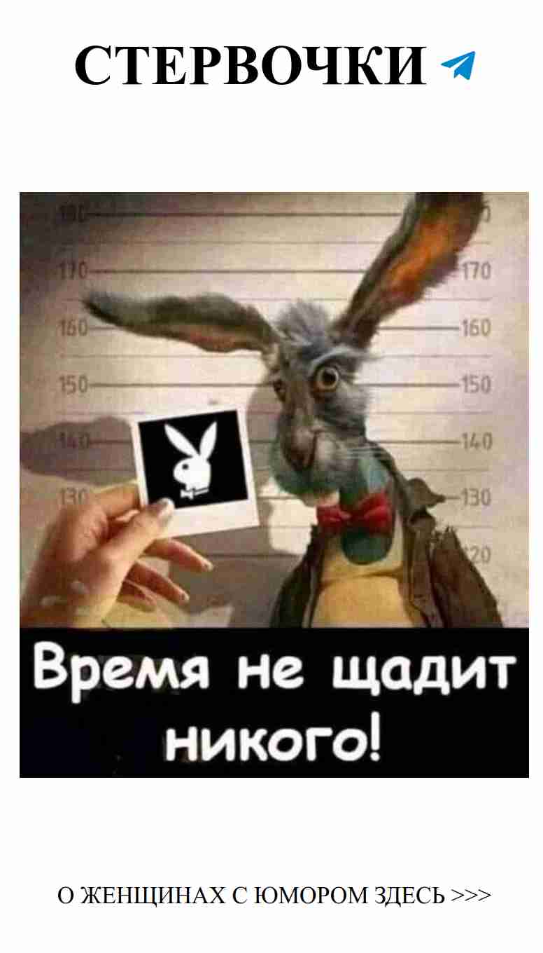 Любовь и смех: момент, который вы не забудете