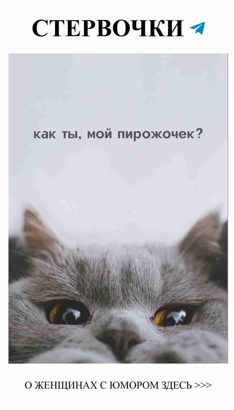 Смех и любовь: женский юмор, который лечит душу