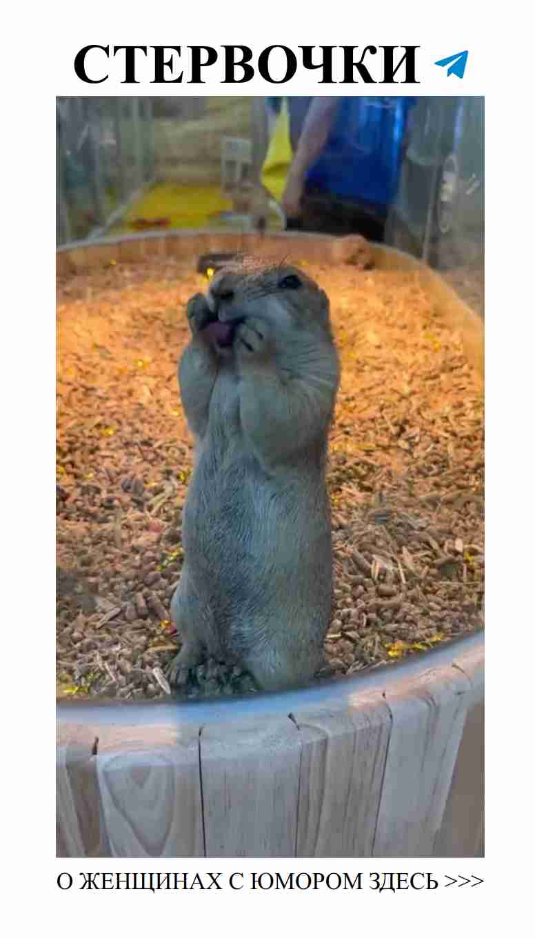 Любовь с улыбкой: как юмор помогает в отношениях