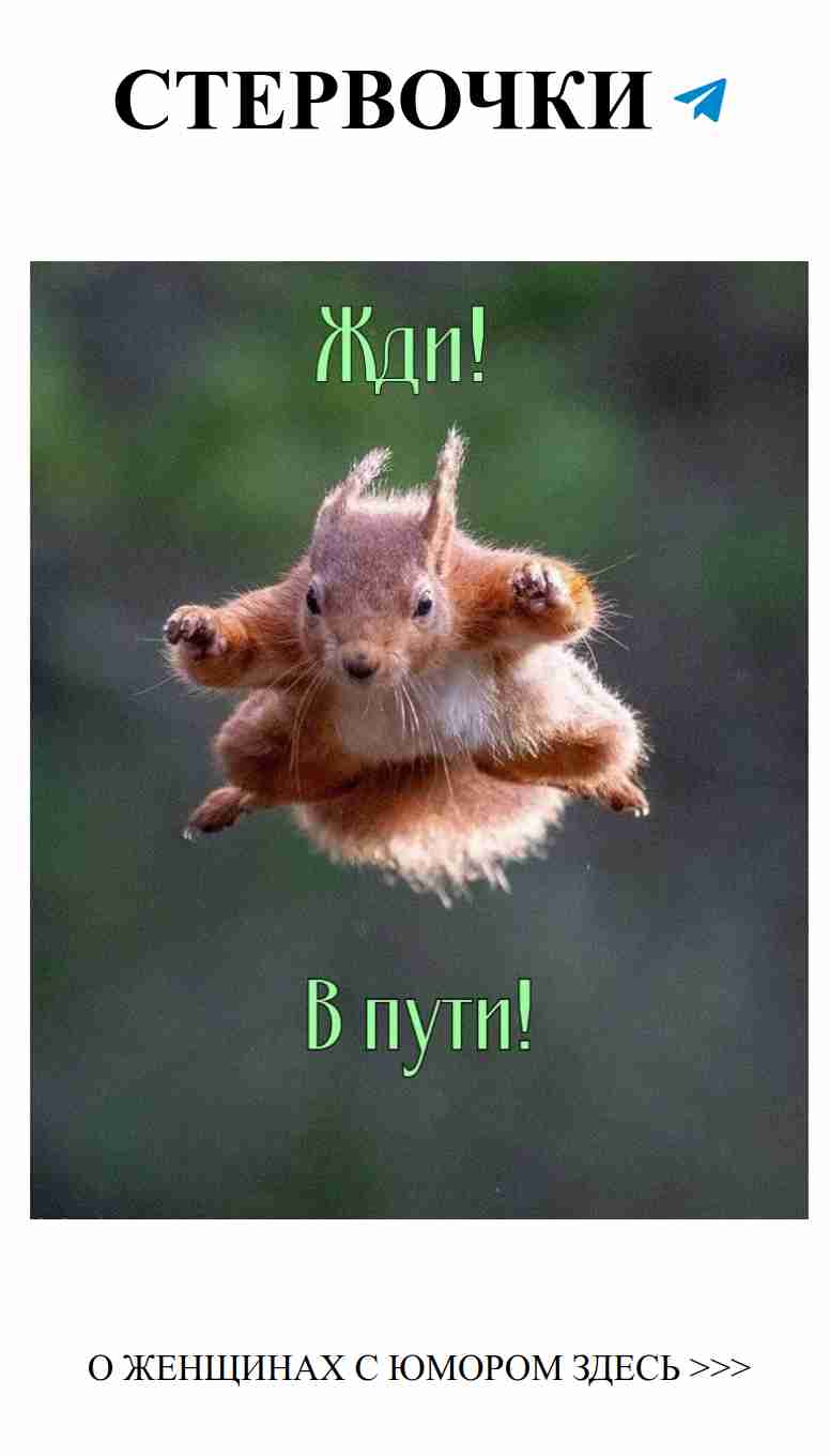 Любовь, юмор и белки: путешествие сердца