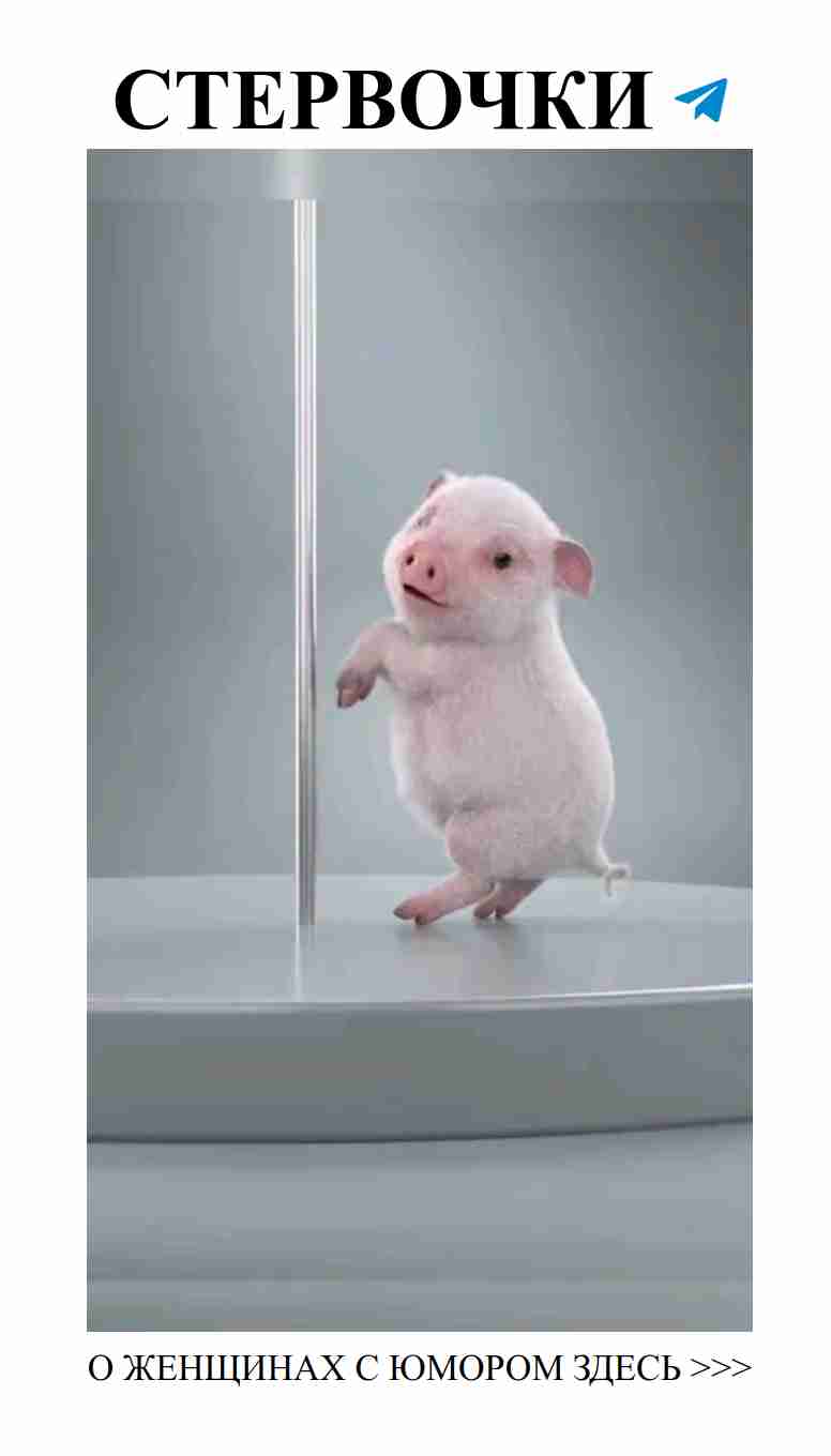 Смешные истории о любви: как не быть ебланом