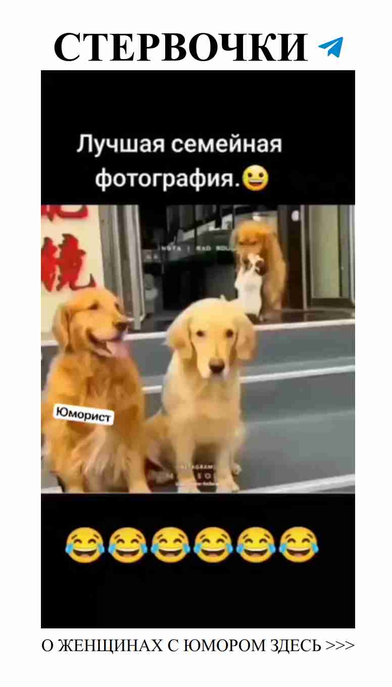 Семейные фотосессии: как поймать момент счастья