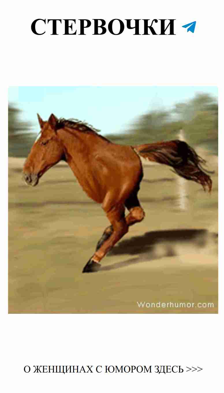 Юмор о любви: как смеяться и любить одновременно