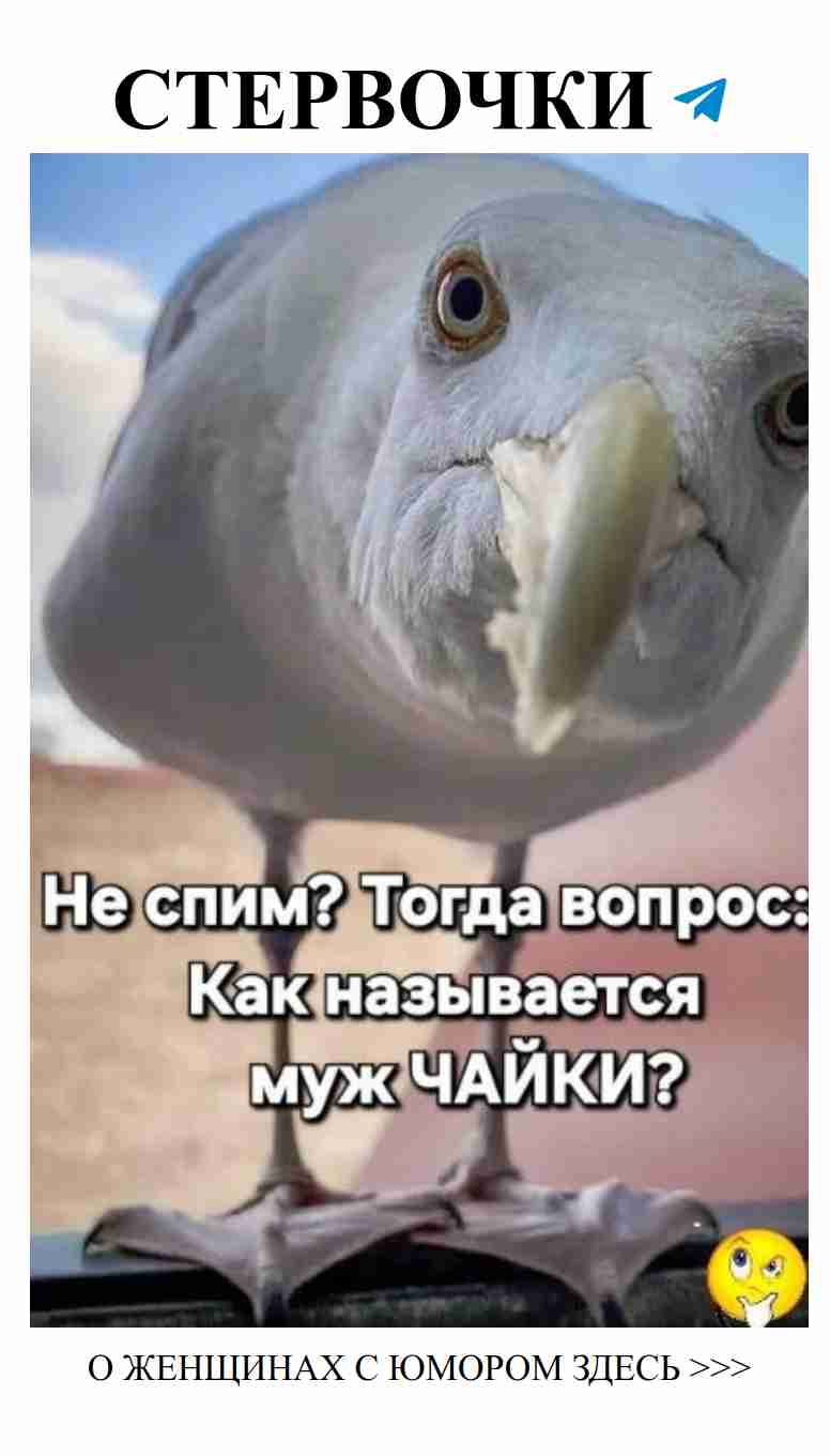 Любовь с юмором: когда сердце смеется вместе с душой