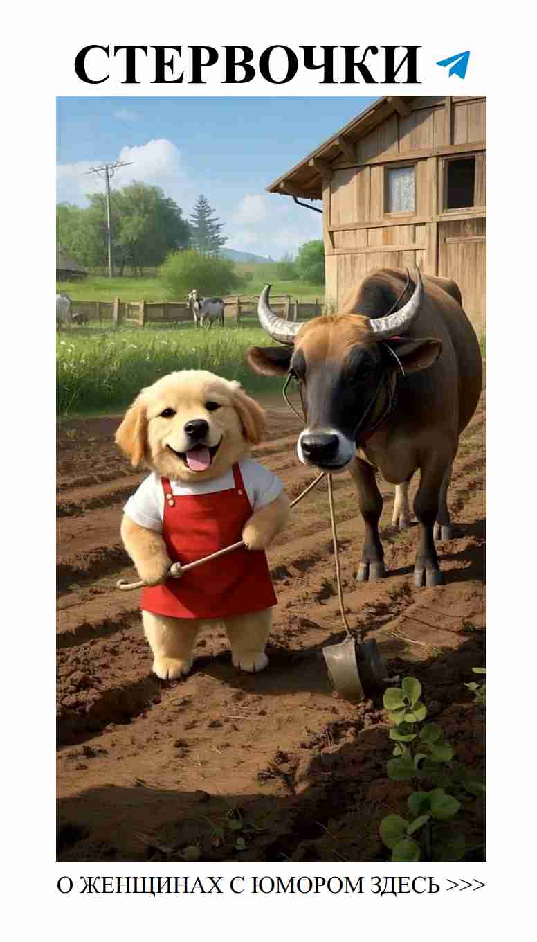 Как искусственный интеллект помогает собакам радовать нас