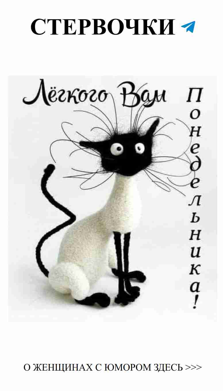 Любовь и смех: что может быть лучше для женщин