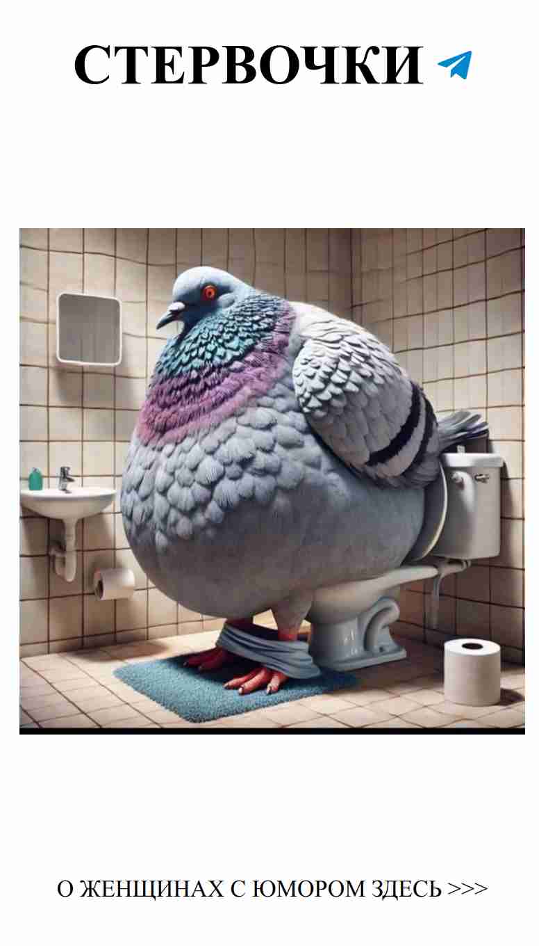 Любовь, как голуби: легкость и веселье в каждой шутке