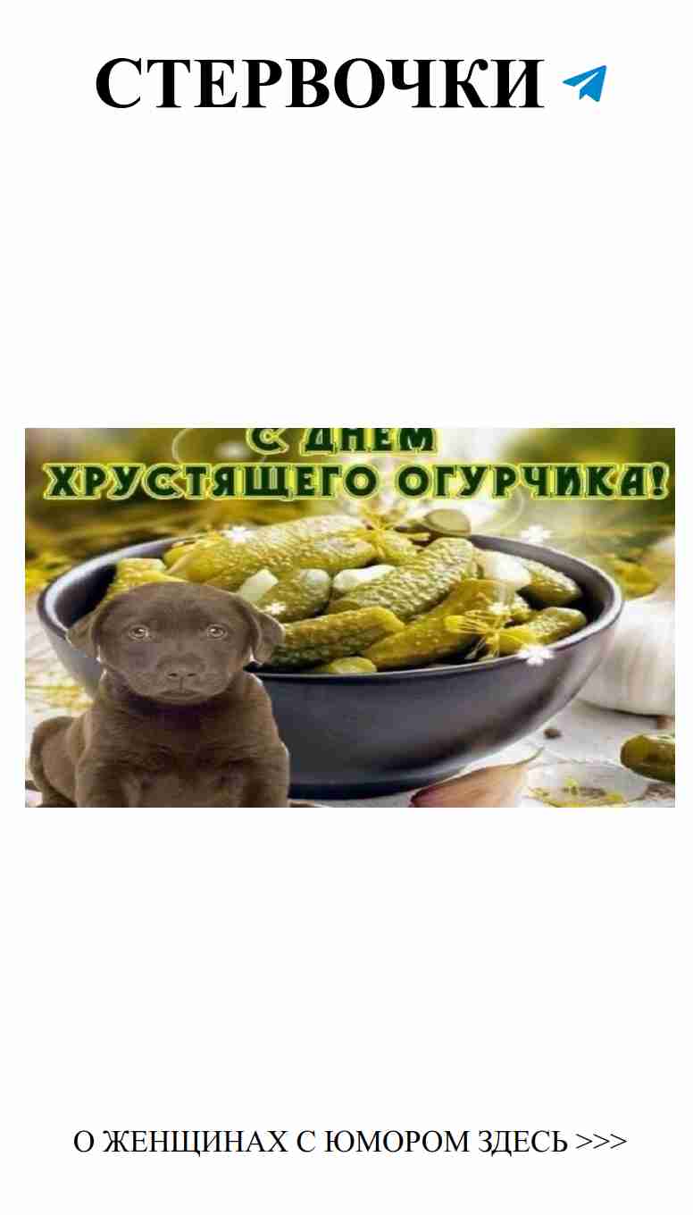 Смешные открытки для любящих сердцем и юмором